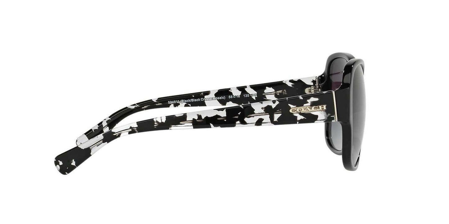 Coach Woman Sunglasses, Black Lenses Acetate Frame, 0HC8166 534811 58mm